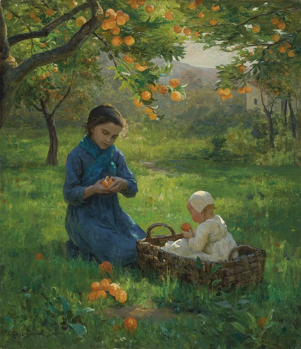 Sotto l'albero di arance